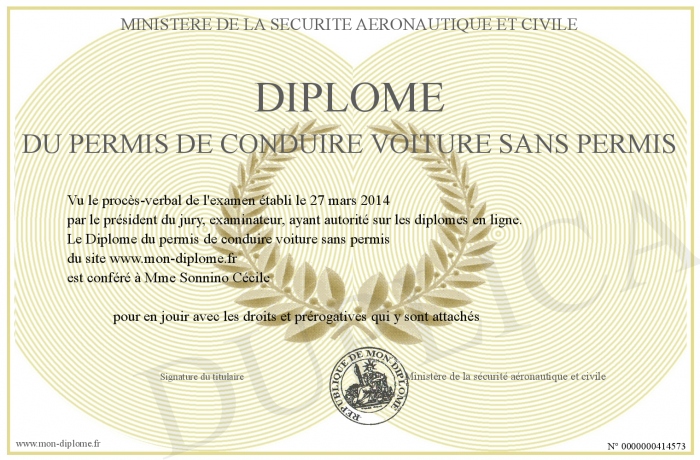 voiture sans permis diplome
